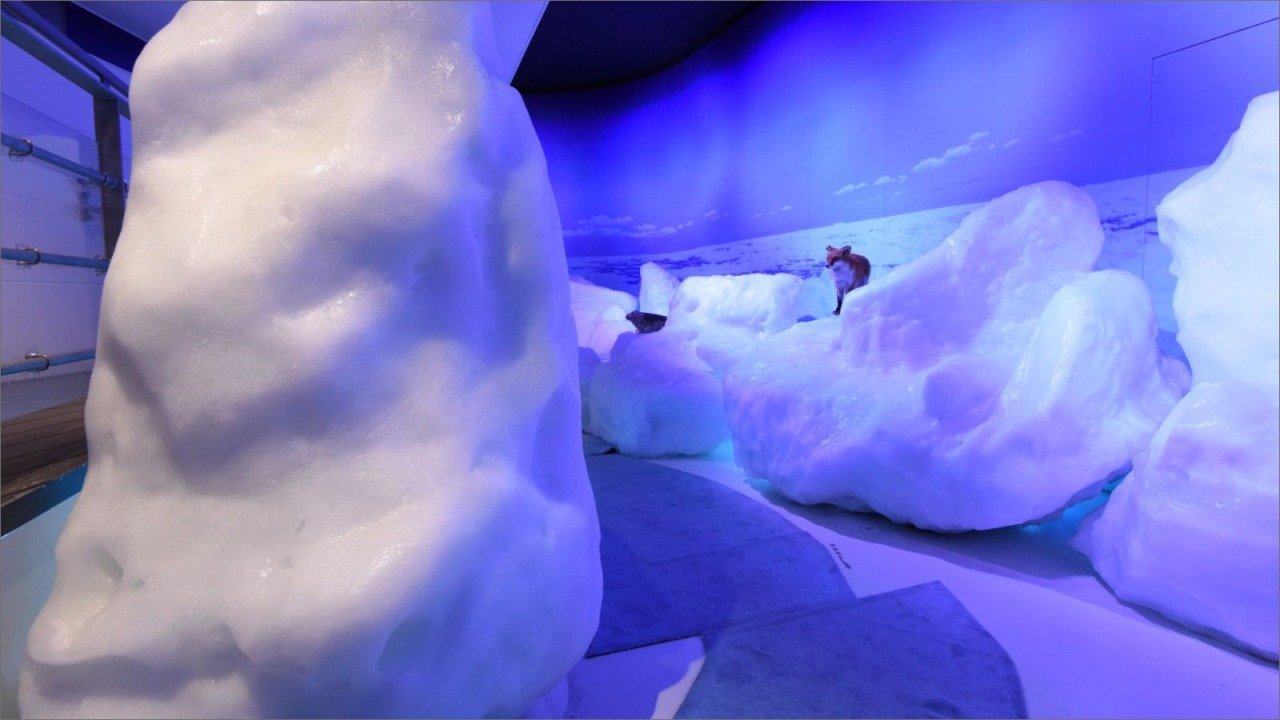 🧊 오호츠크 유빙관(오호츠쿠 류효칸) 이미지 4